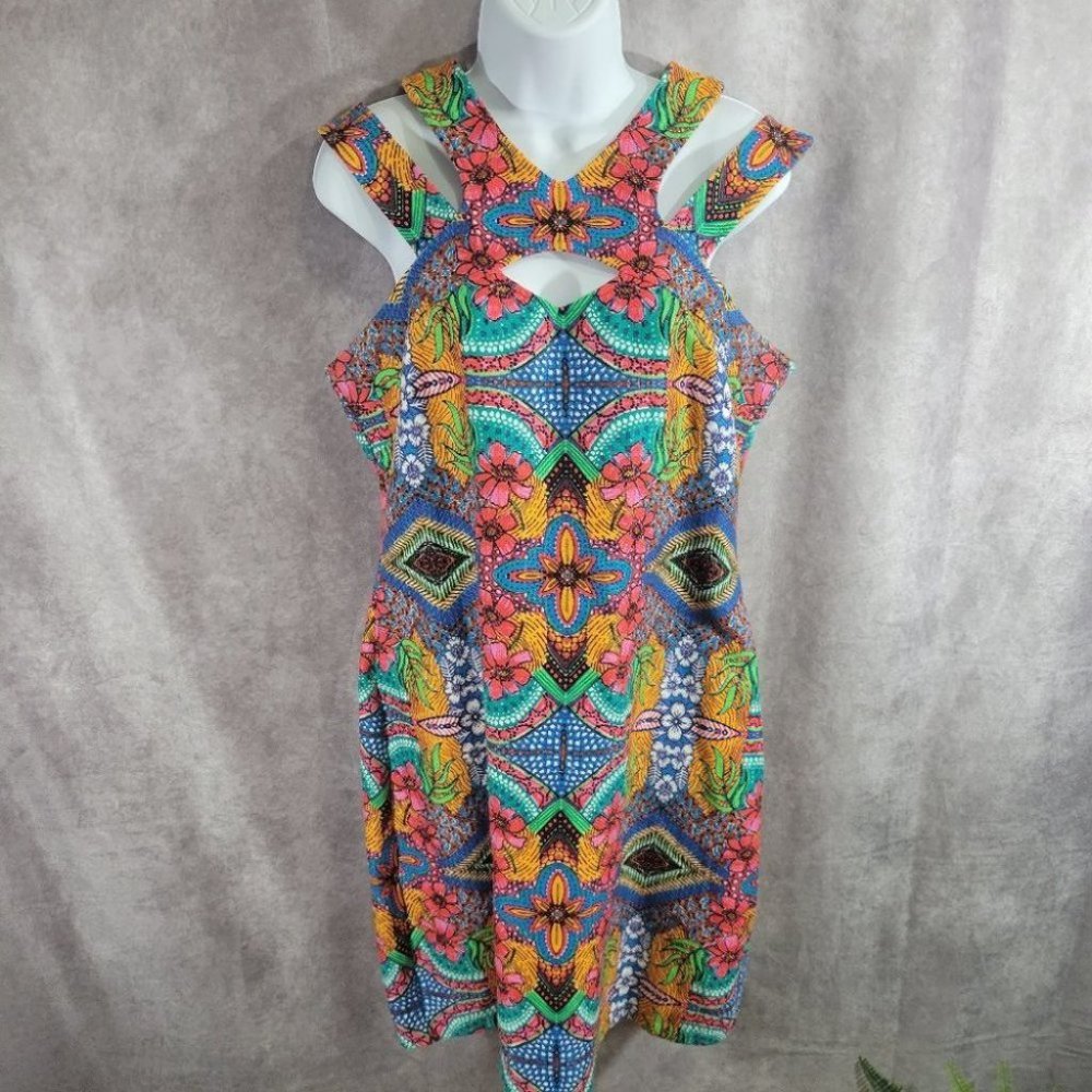 Taylor Retro Colorful Floral Women Dress Size 8